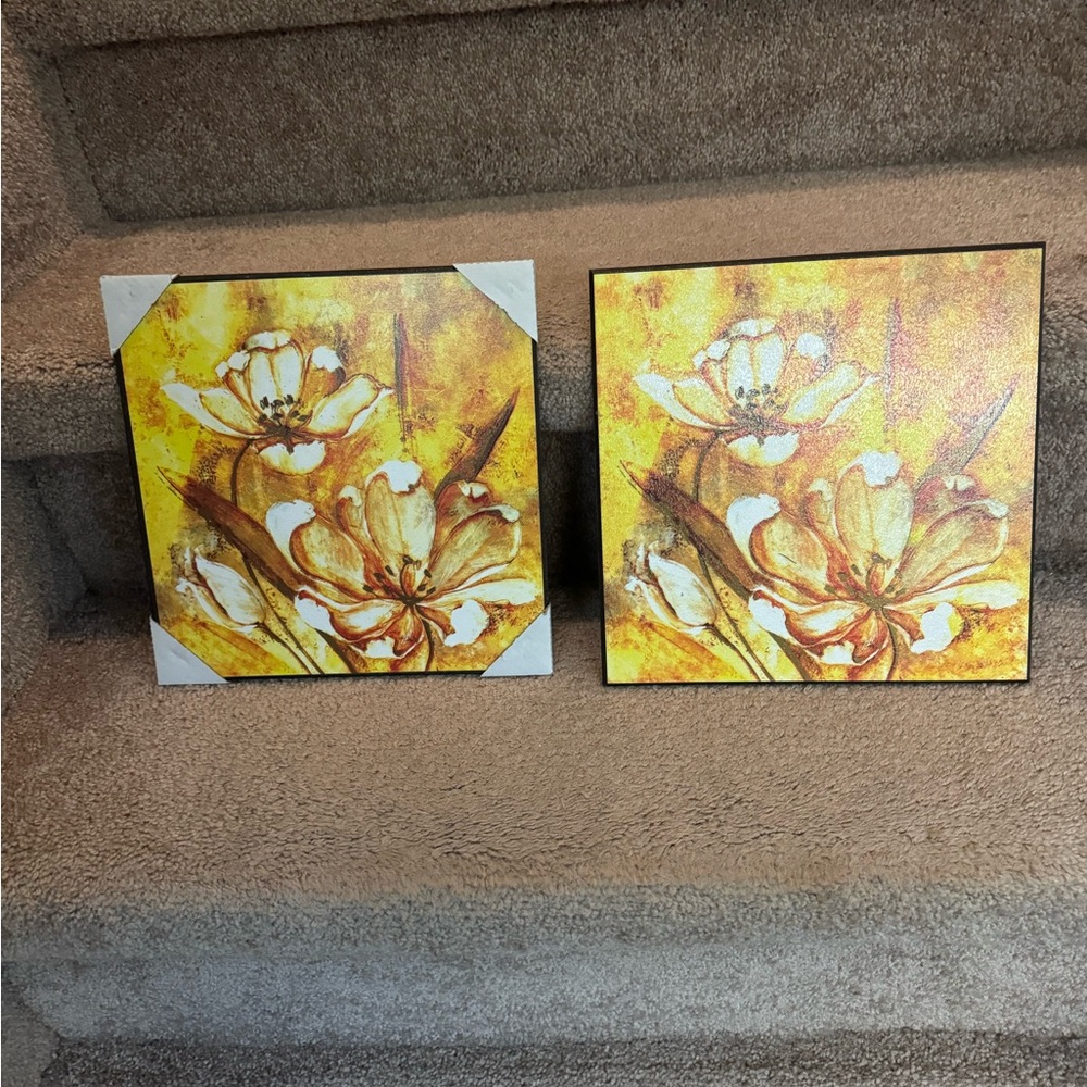 Two identical pictures NWT